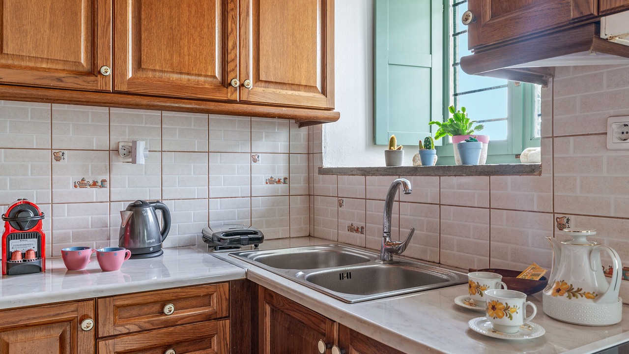 Photo of Kitchen in Andros Town