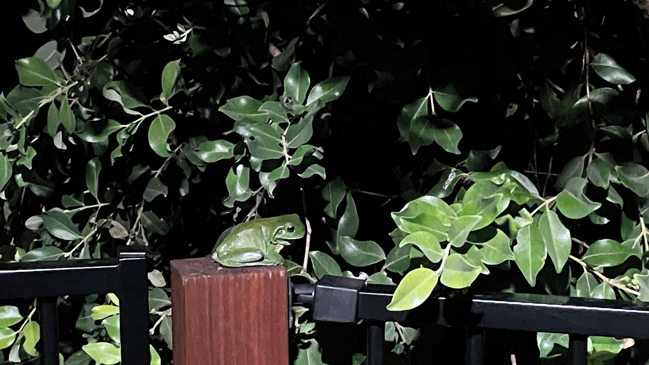 Photo of Others in Woorim