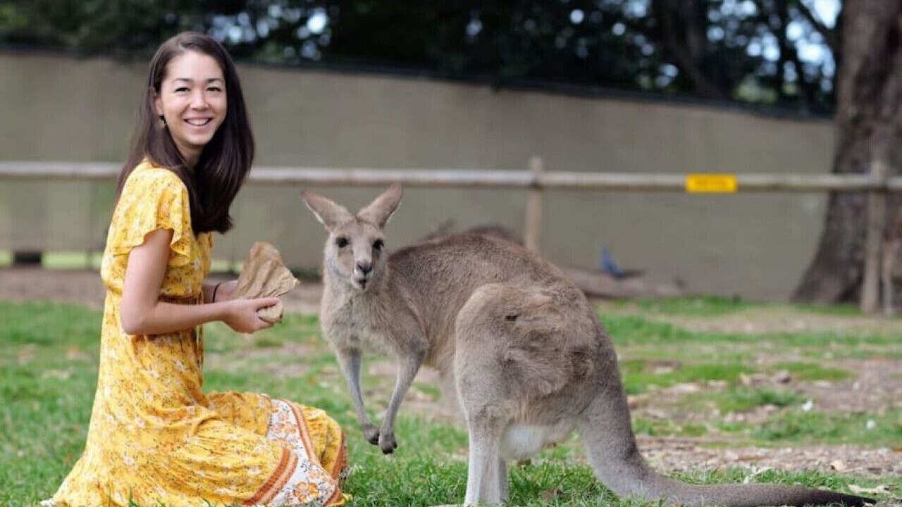 Photo of Others in Annerley