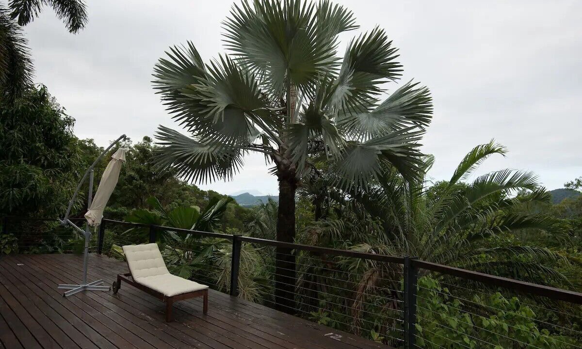 Photo of Outdoor in Mossman