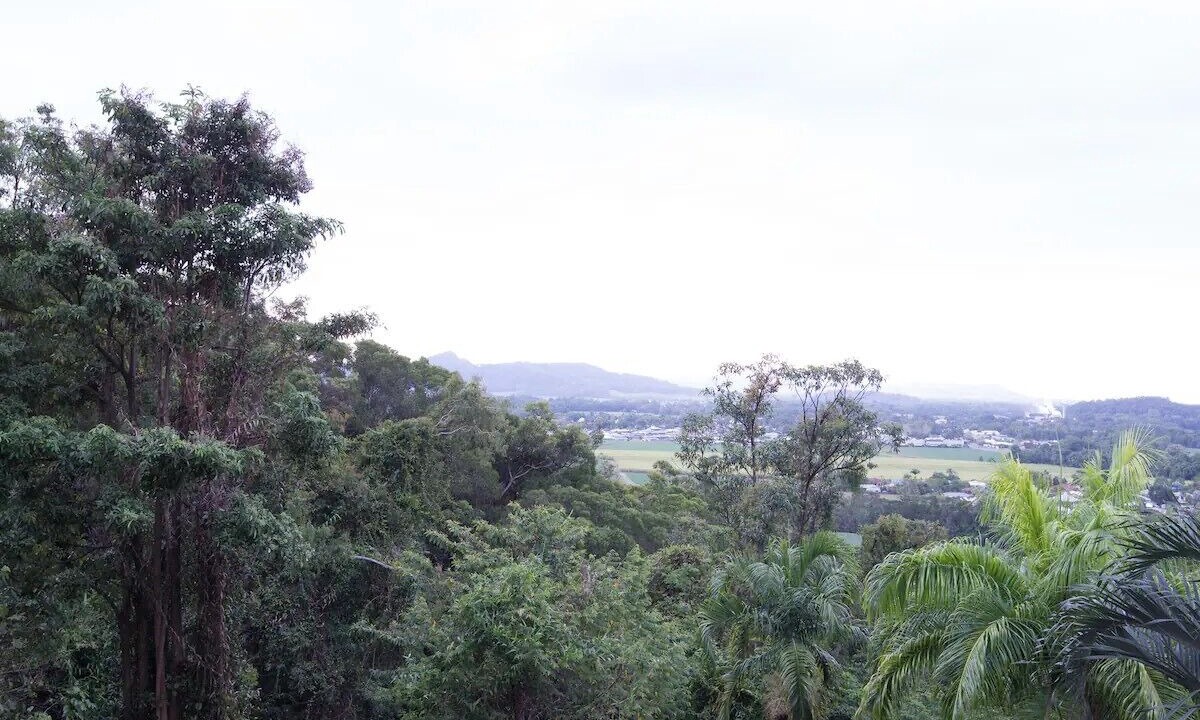 Photo of Outdoor in Mossman