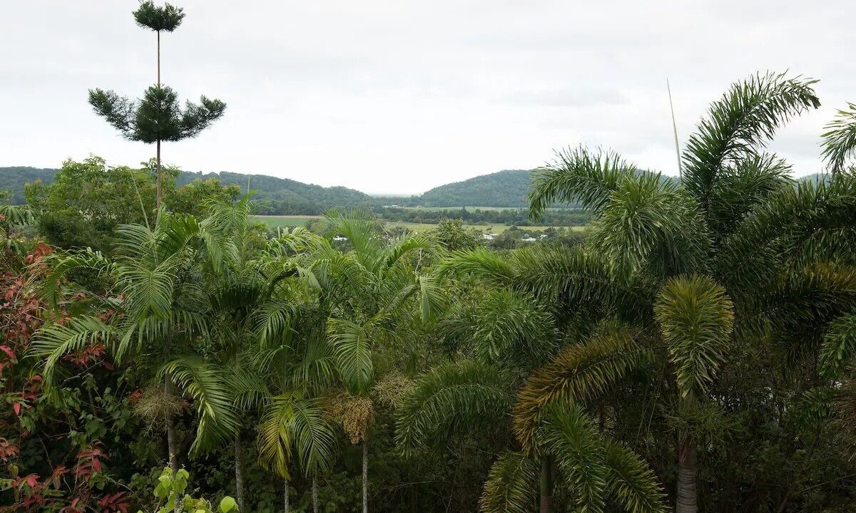 Photo of Bedroom in Mossman