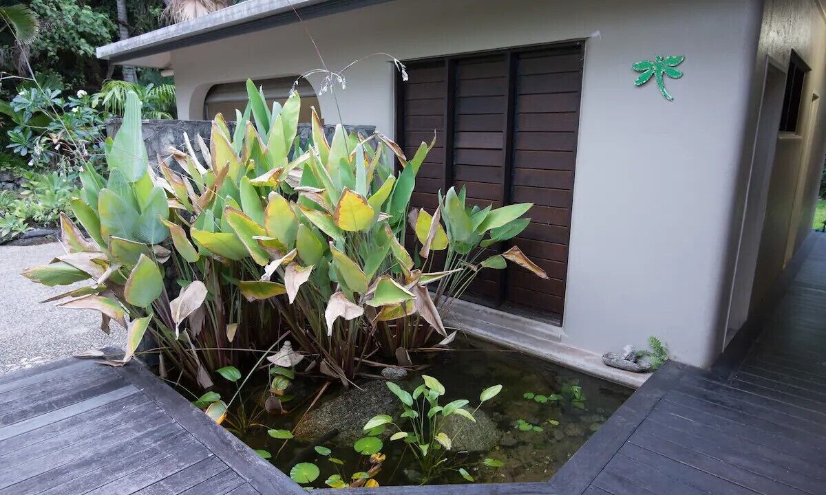 Photo of Outdoor in Mossman