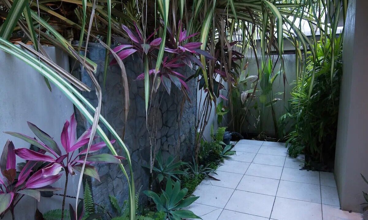 Photo of Outdoor in Mossman
