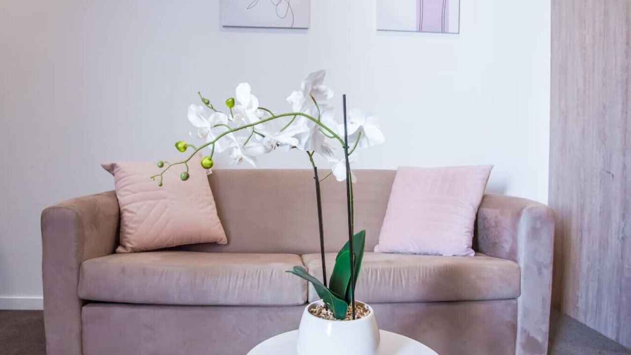 Photo of Livingroom in Woolloongabba