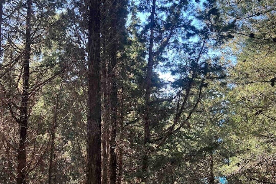 Photo of Outdoor in Koutsi