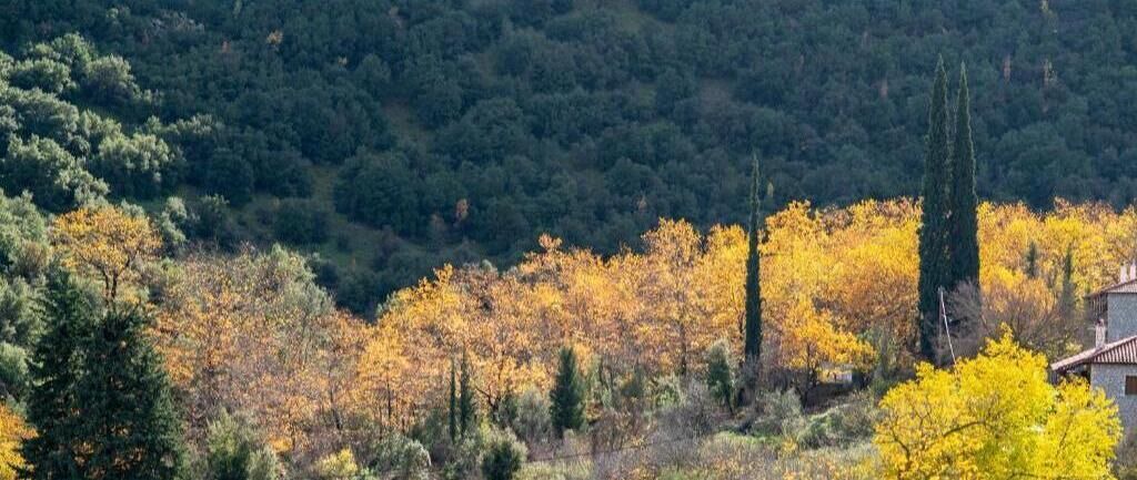 Photo of Outdoor in Kefalochori
