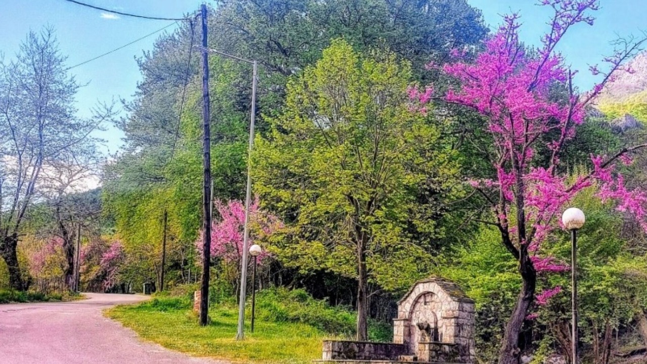 Photo of Others in Mavromati
