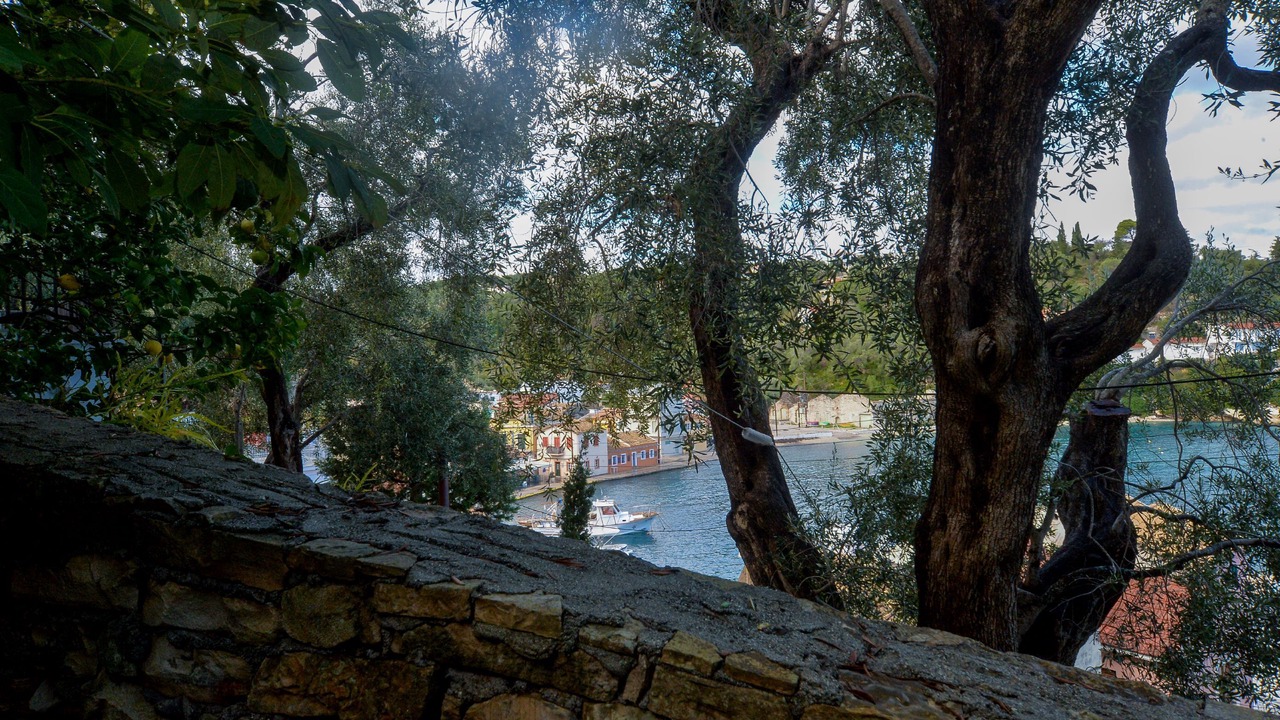 Photo of Outdoor in Longos