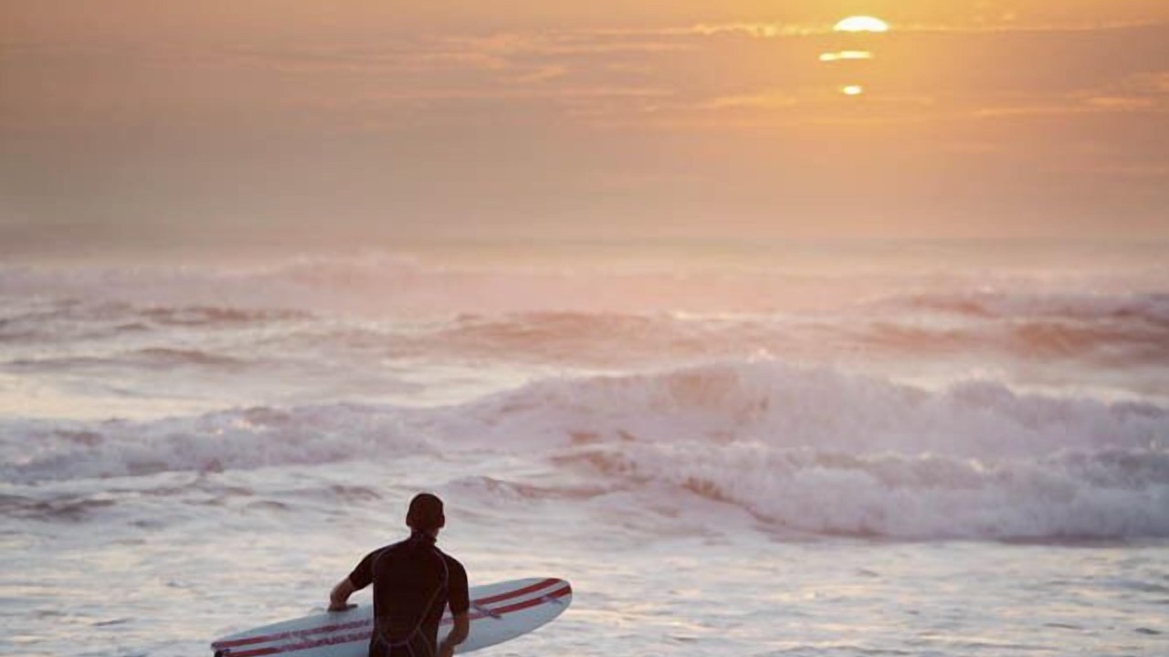 Photo of Others in Maroochydore