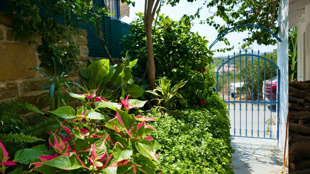 Photo of Outdoor in Foinikounta