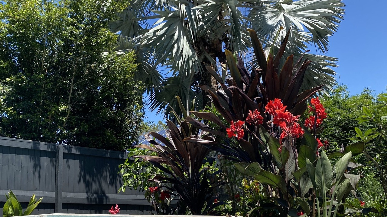 Photo of Outdoor in Ashgrove