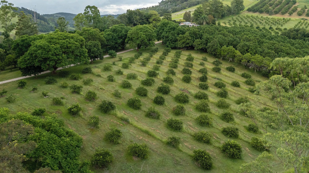 Photo of Outdoor in Dagun