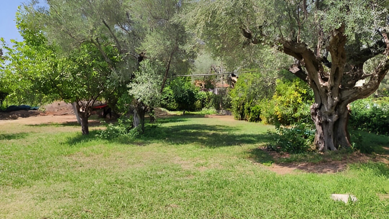 Photo of Outdoor in Marathias