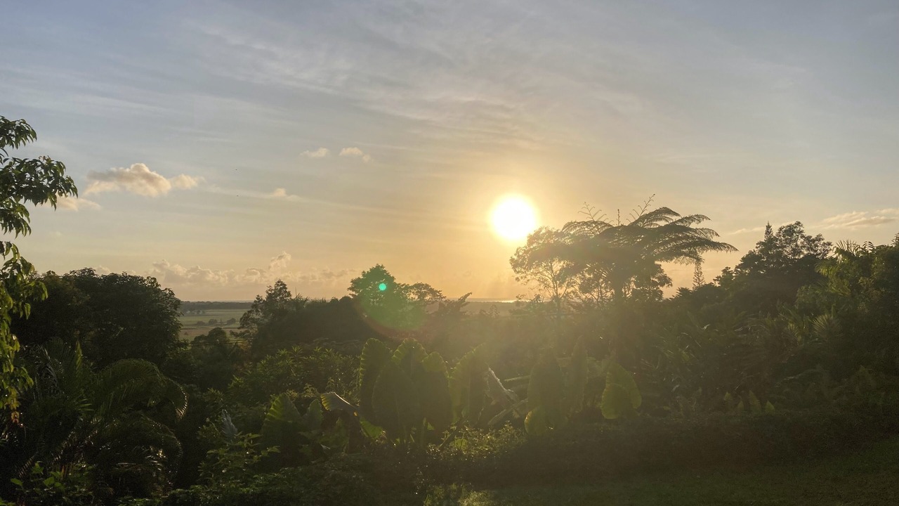 Photo of Outdoor in Miallo