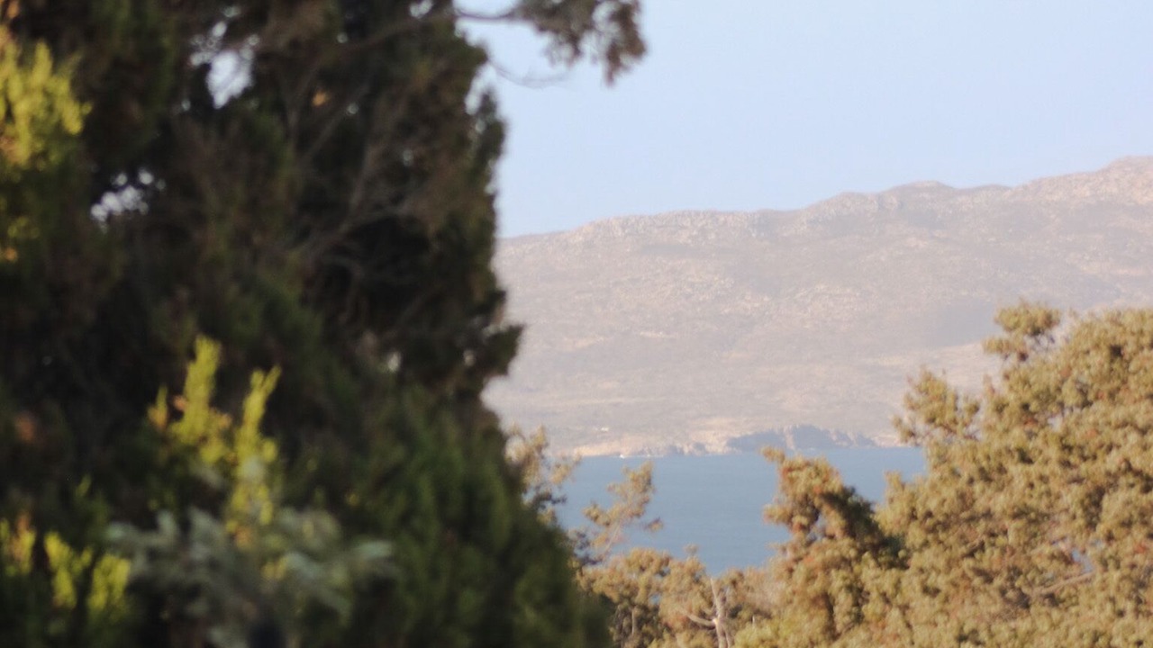 Photo of Others in Milos