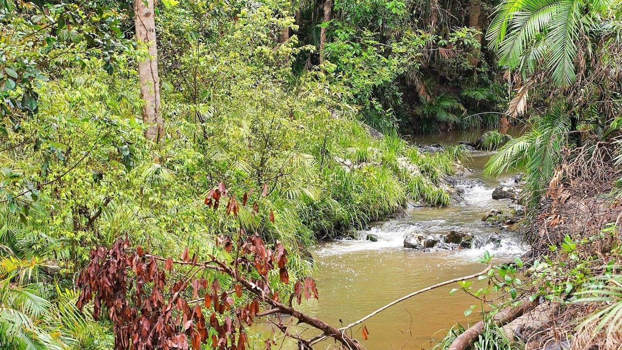 Photo of Outdoor in Kuranda