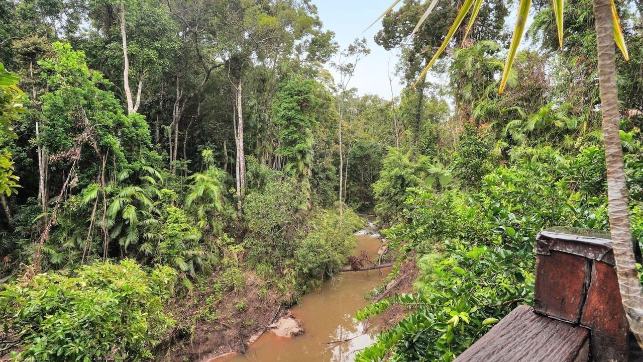 Photo of Outdoor in Kuranda