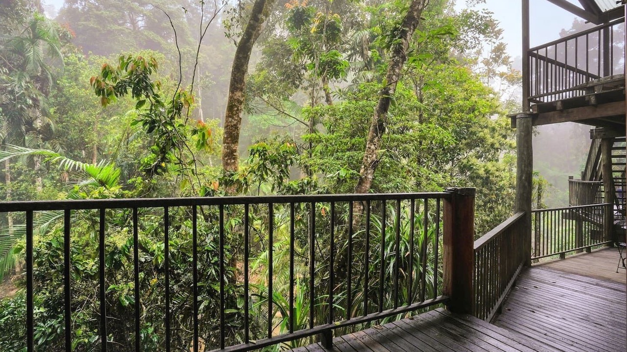 Photo of Outdoor in Kuranda