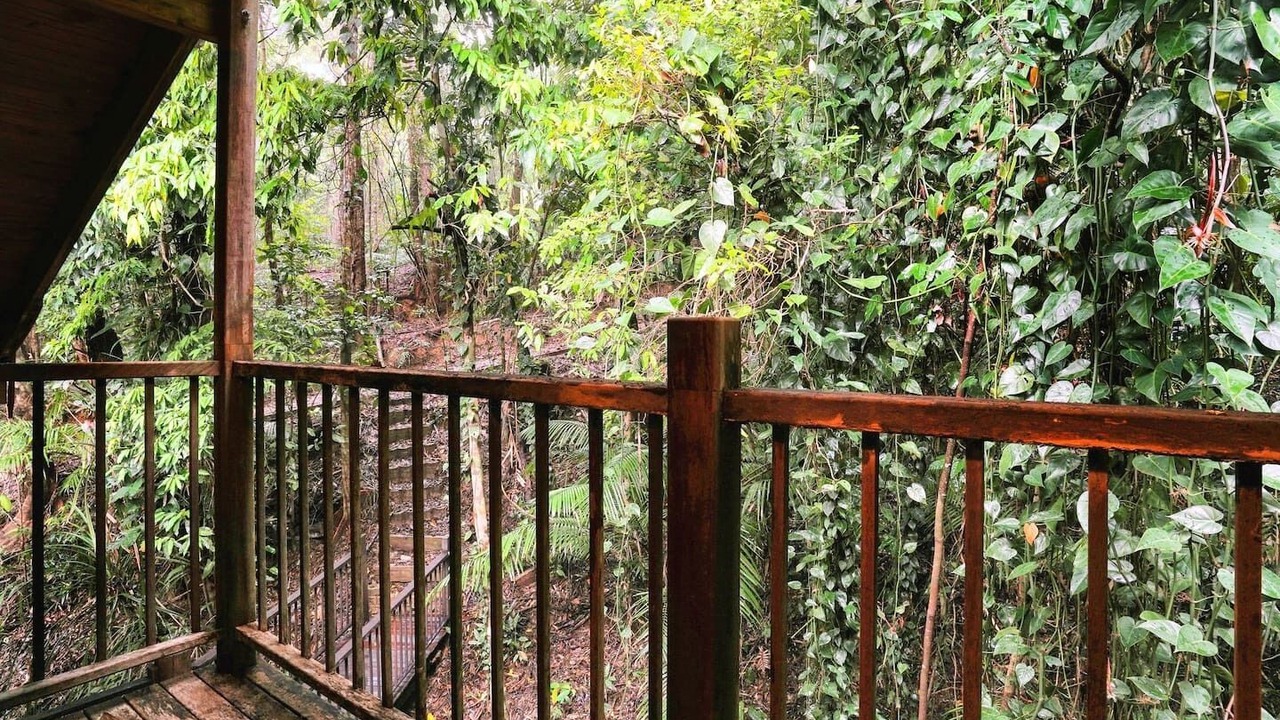 Photo of Outdoor in Kuranda