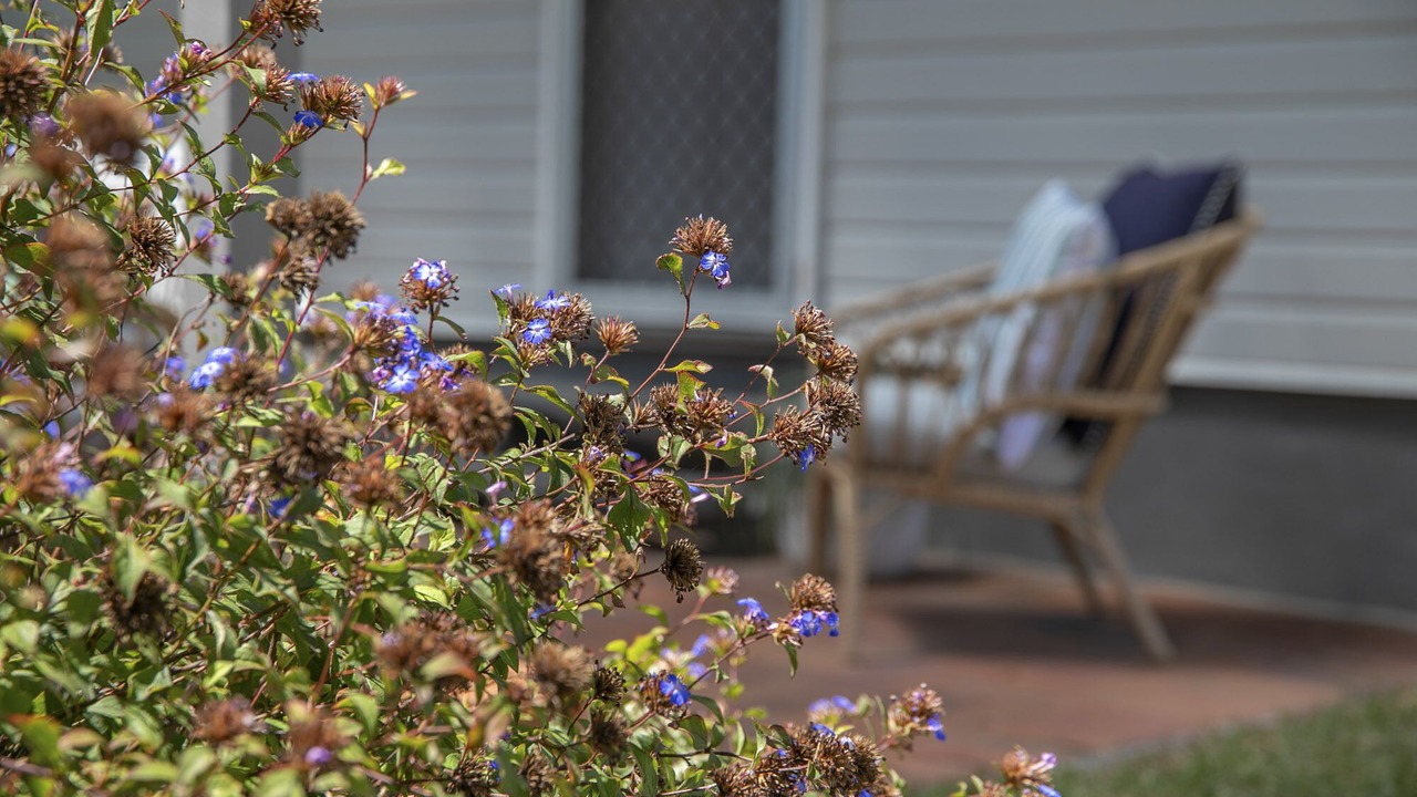 Photo of Others in Stanthorpe
