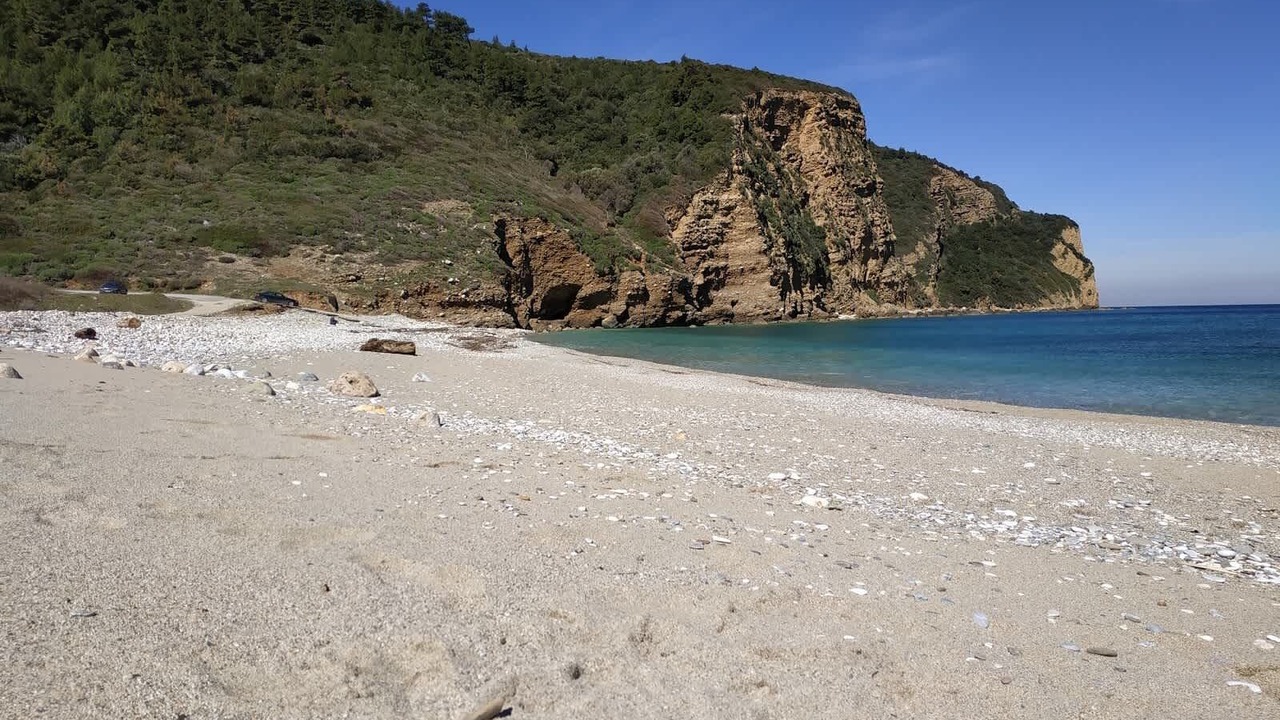 Photo of Others in Paradise Beach