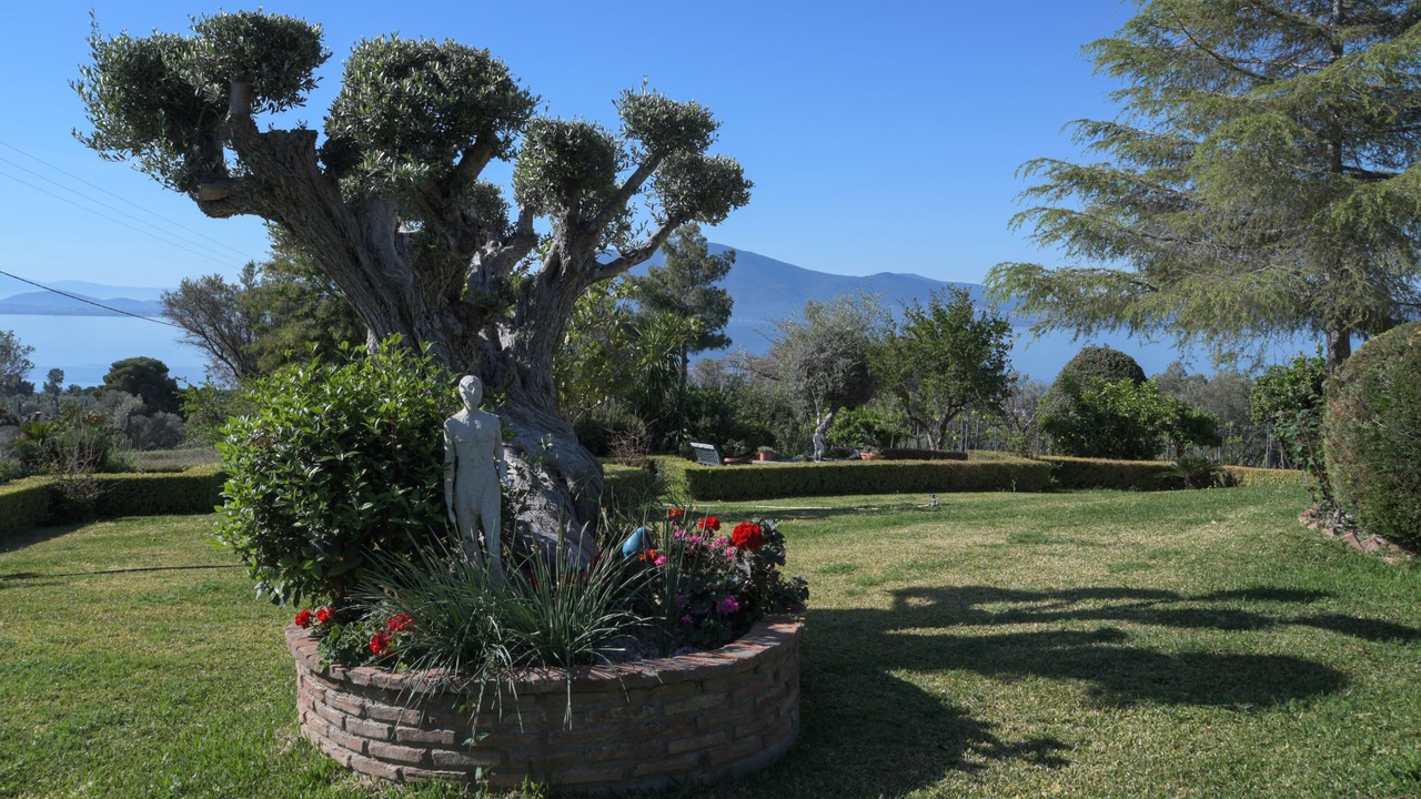 Photo of Outdoor in Paradise Beach