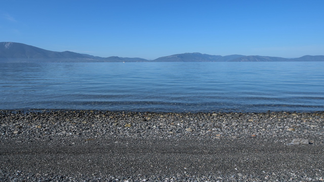 Photo of Others in Paradise Beach