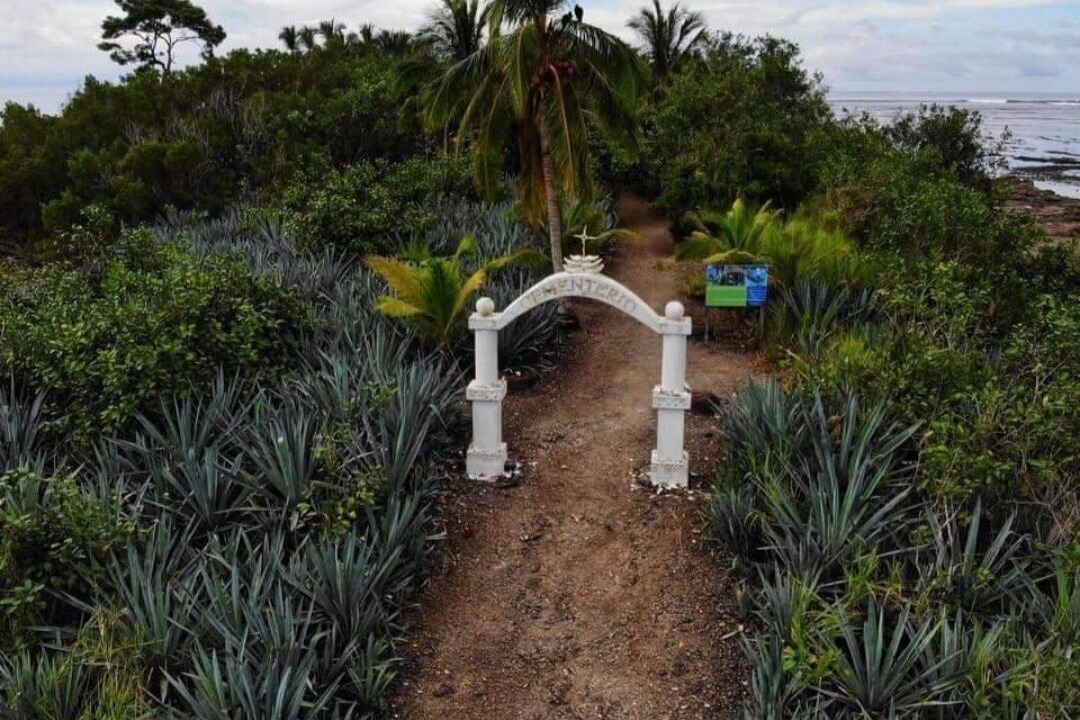 Photo of Outdoor in Cedros