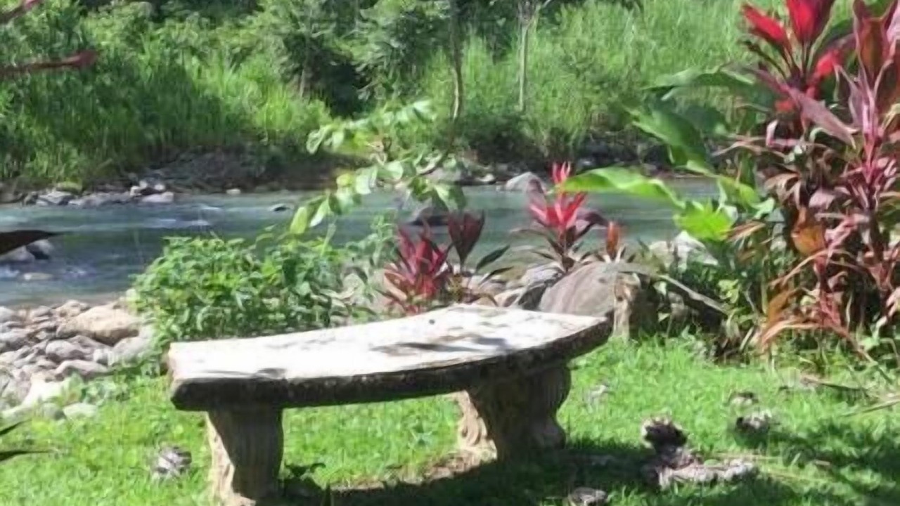 Photo of Others in Uvita