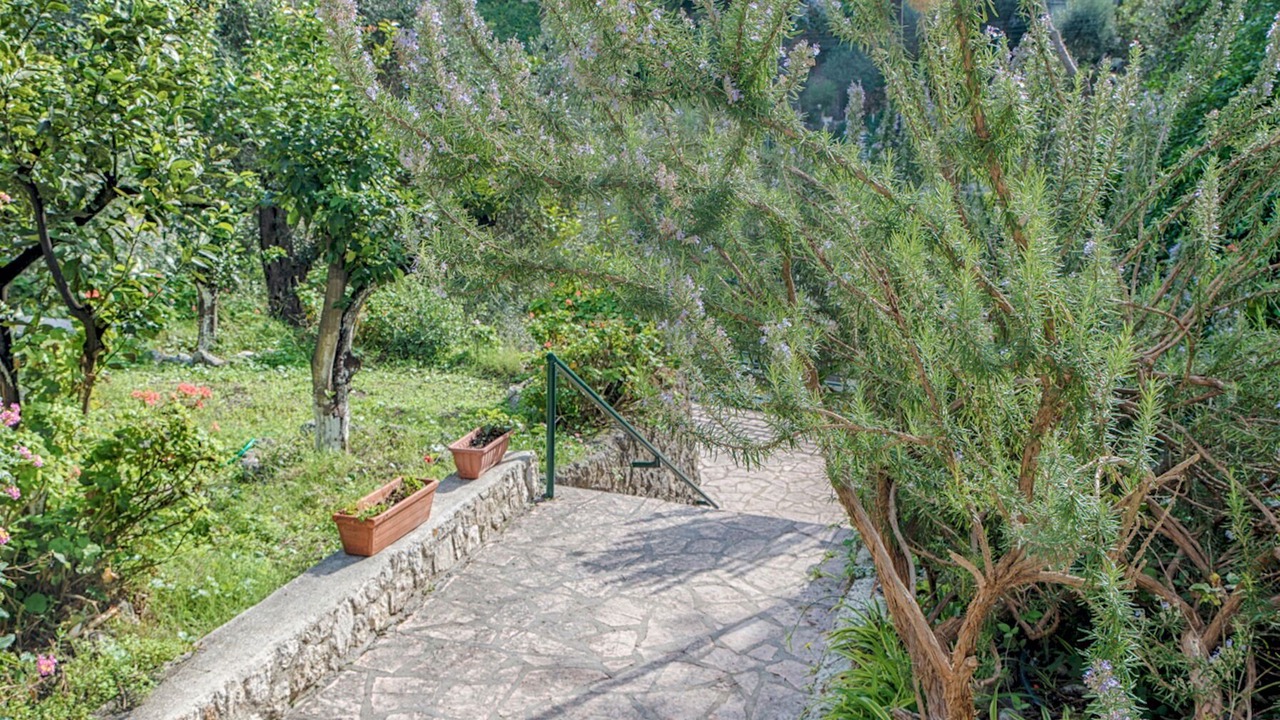 Photo of Outdoor in Lakones
