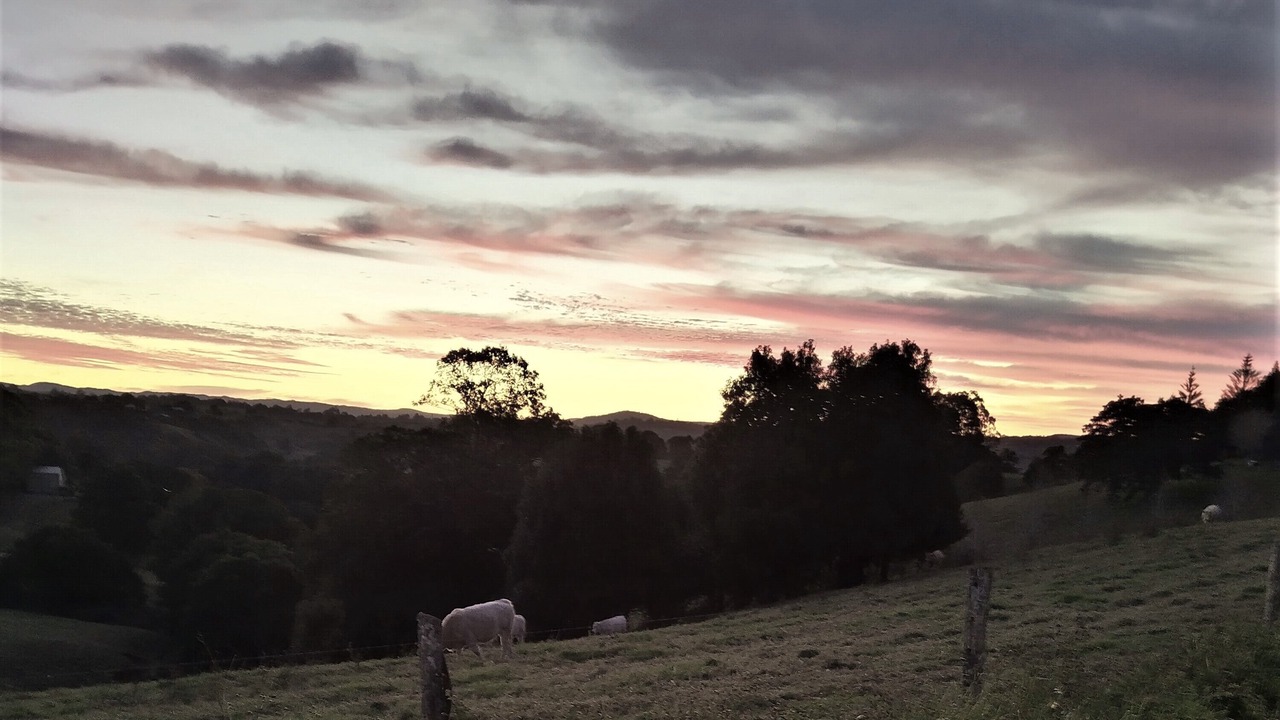 Photo of Outdoor in North Maleny