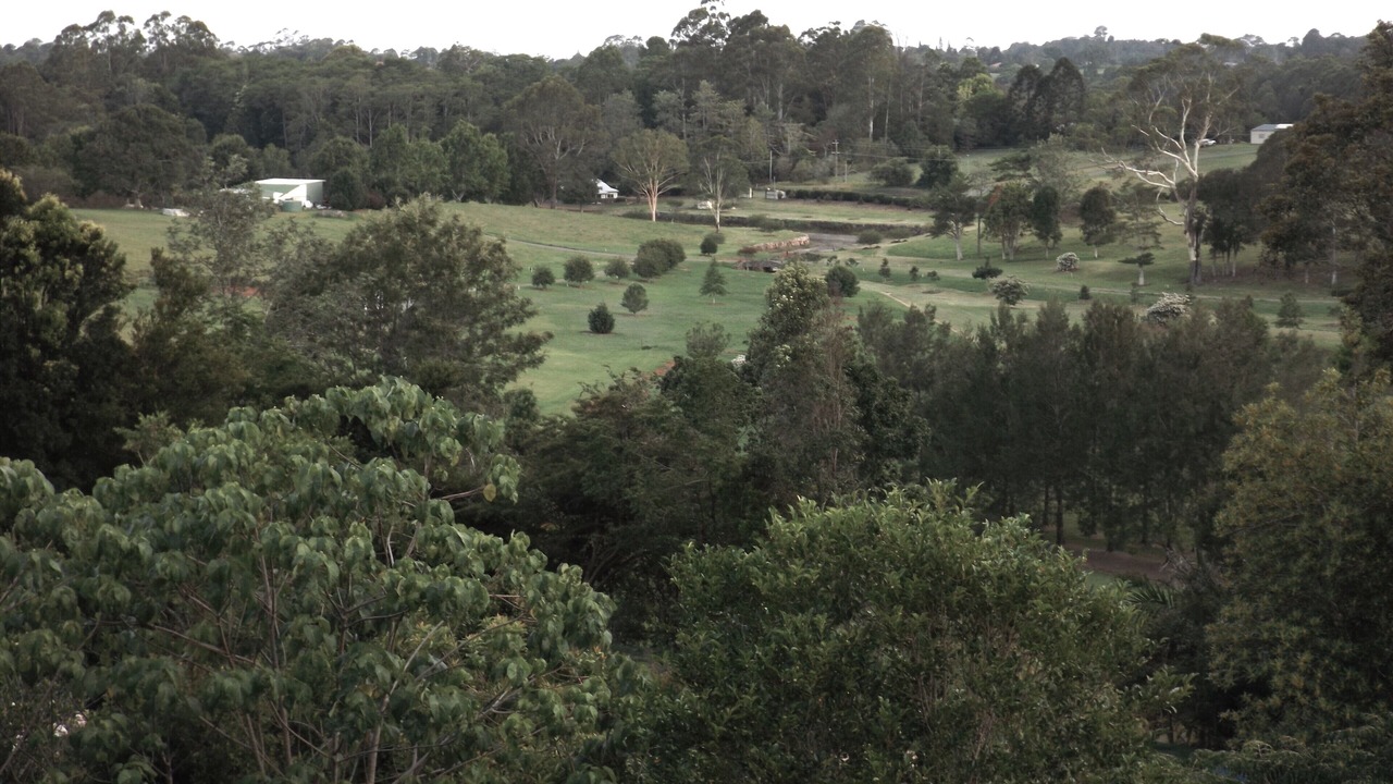 Photo of Outdoor in North Maleny