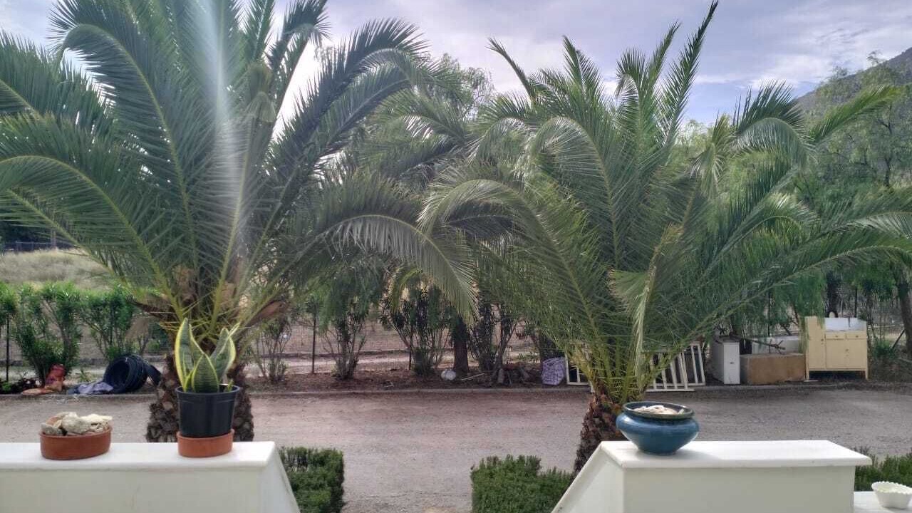 Photo of Outdoor in Kontsika
