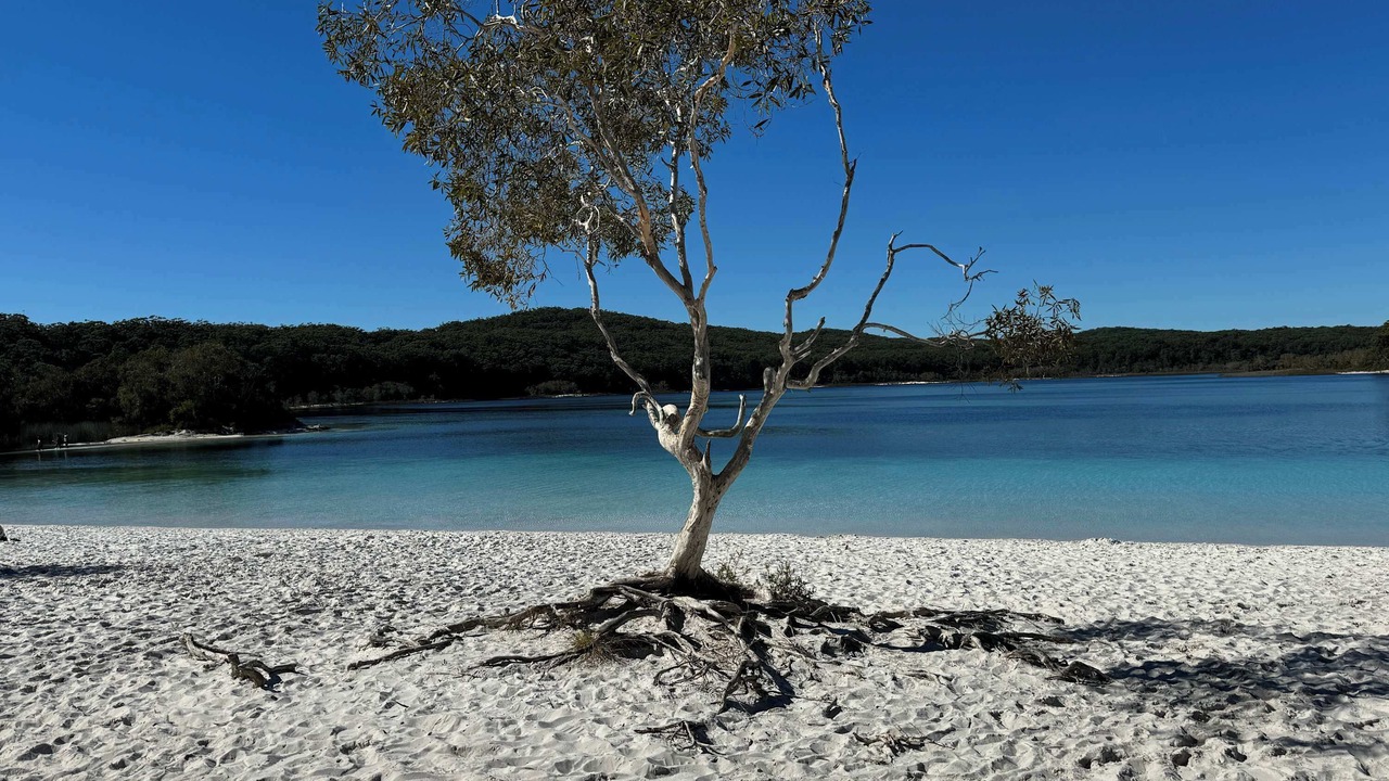 Photo of Outdoor in Kingfisher Bay