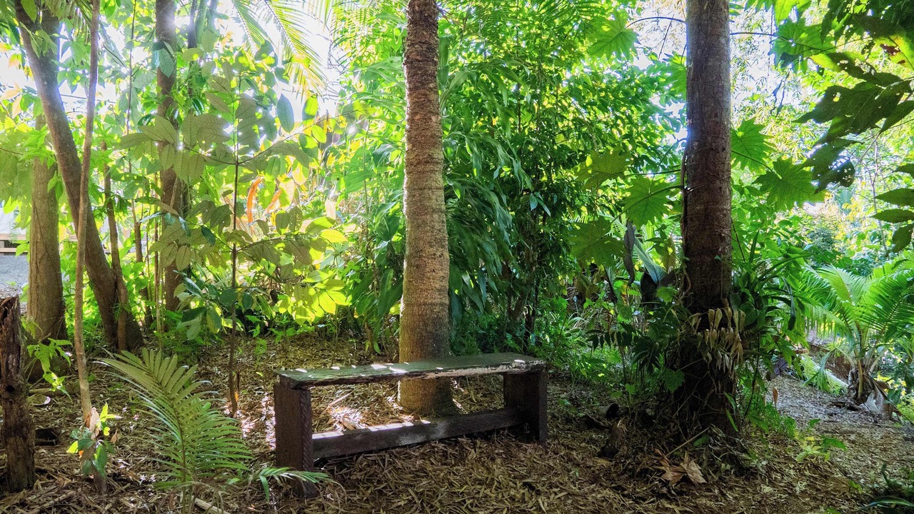 Photo of Outdoor in Mena Creek