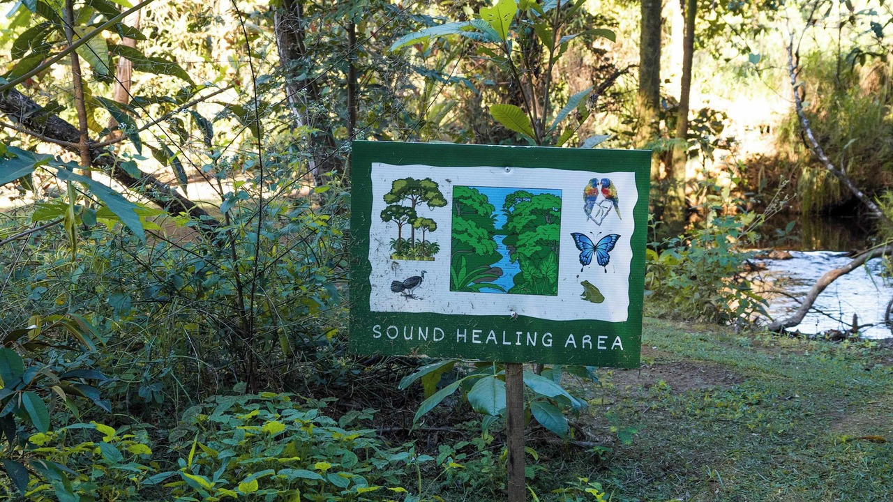 Photo of Others in Mena Creek