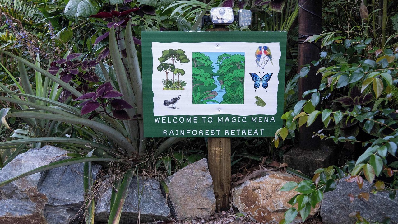 Photo of Others in Mena Creek