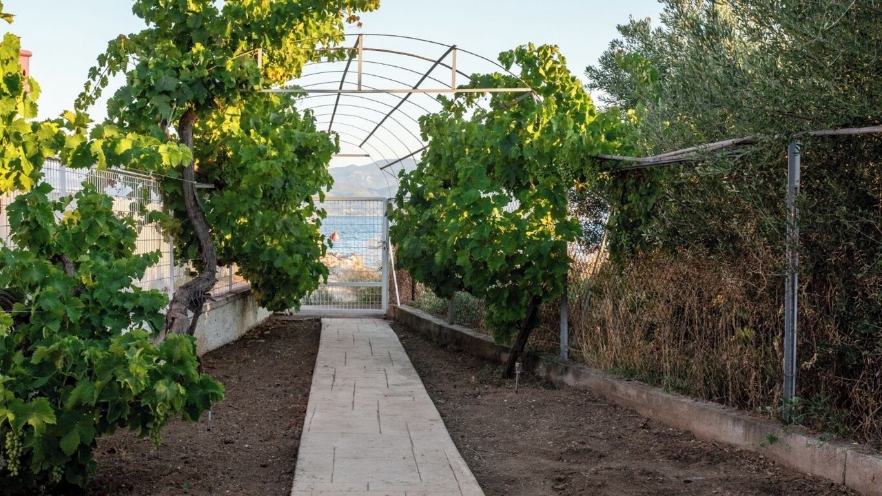 Photo of Outdoor in Malakonta