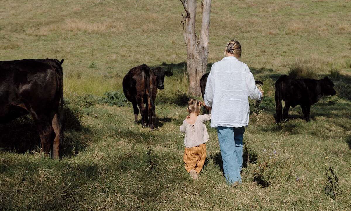 Photo of Others in Kidaman Creek