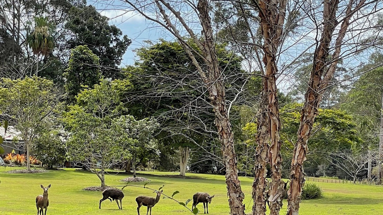 Photo of Others in Tinbeerwah