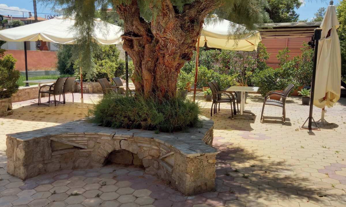Photo of Outdoor in Korithion