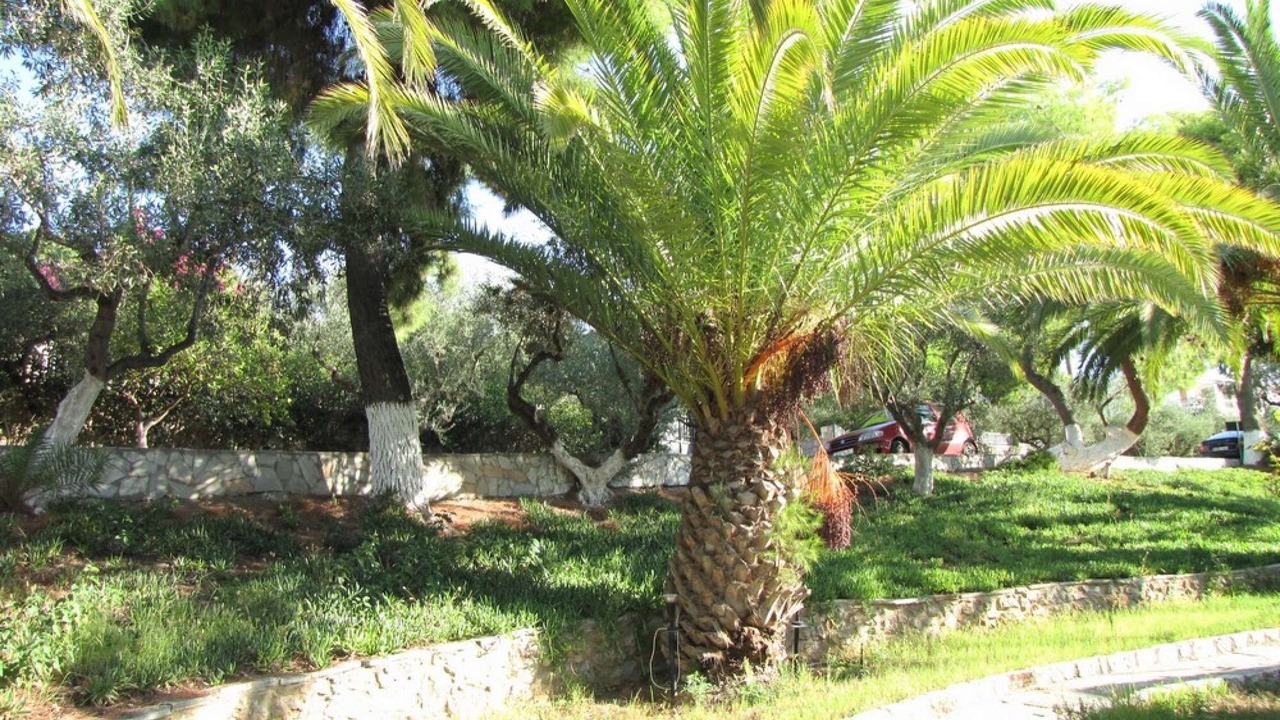 Photo of Outdoor in Mavrovouni