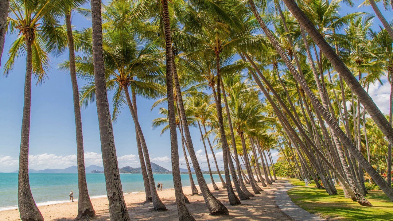 Photo of Others in Palm Cove