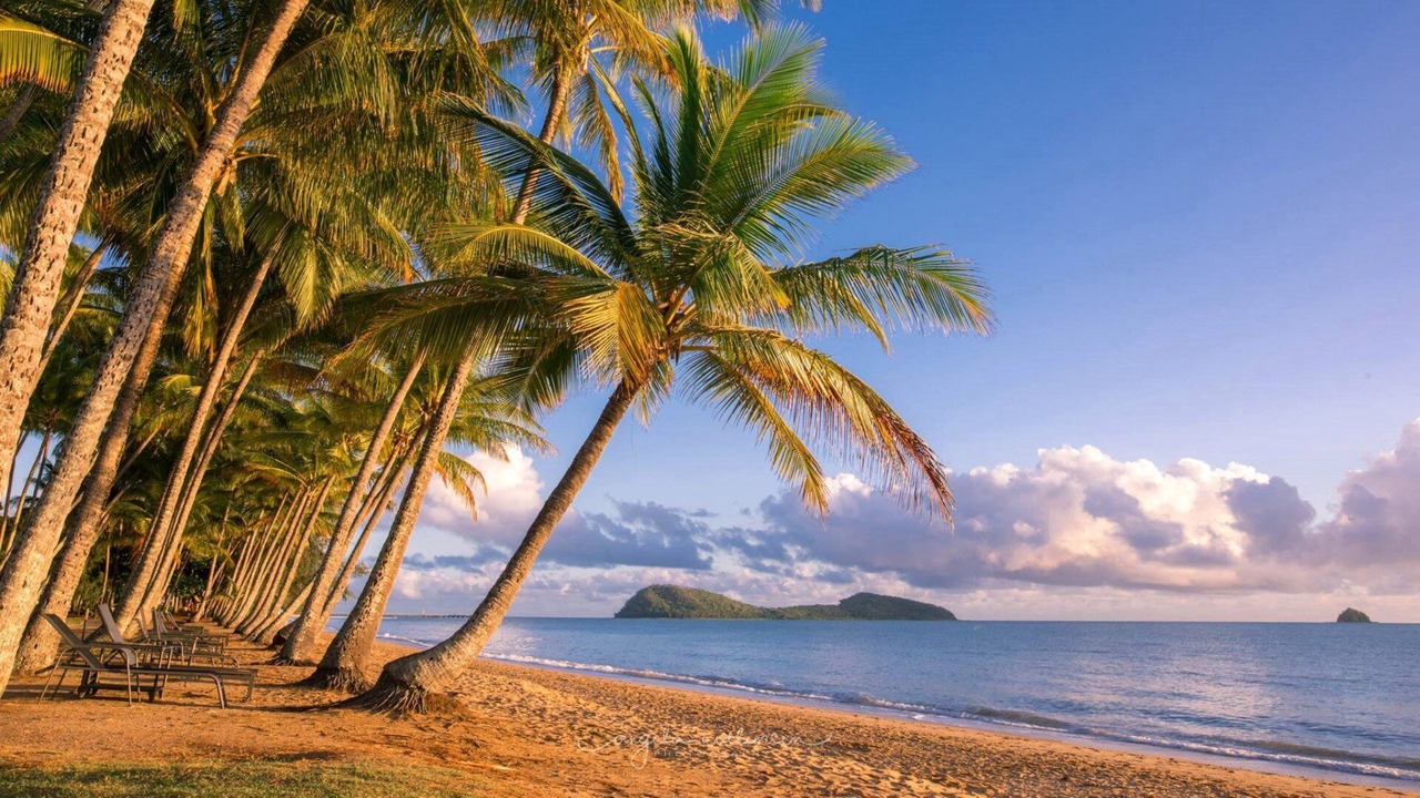 Photo of Others in Palm Cove