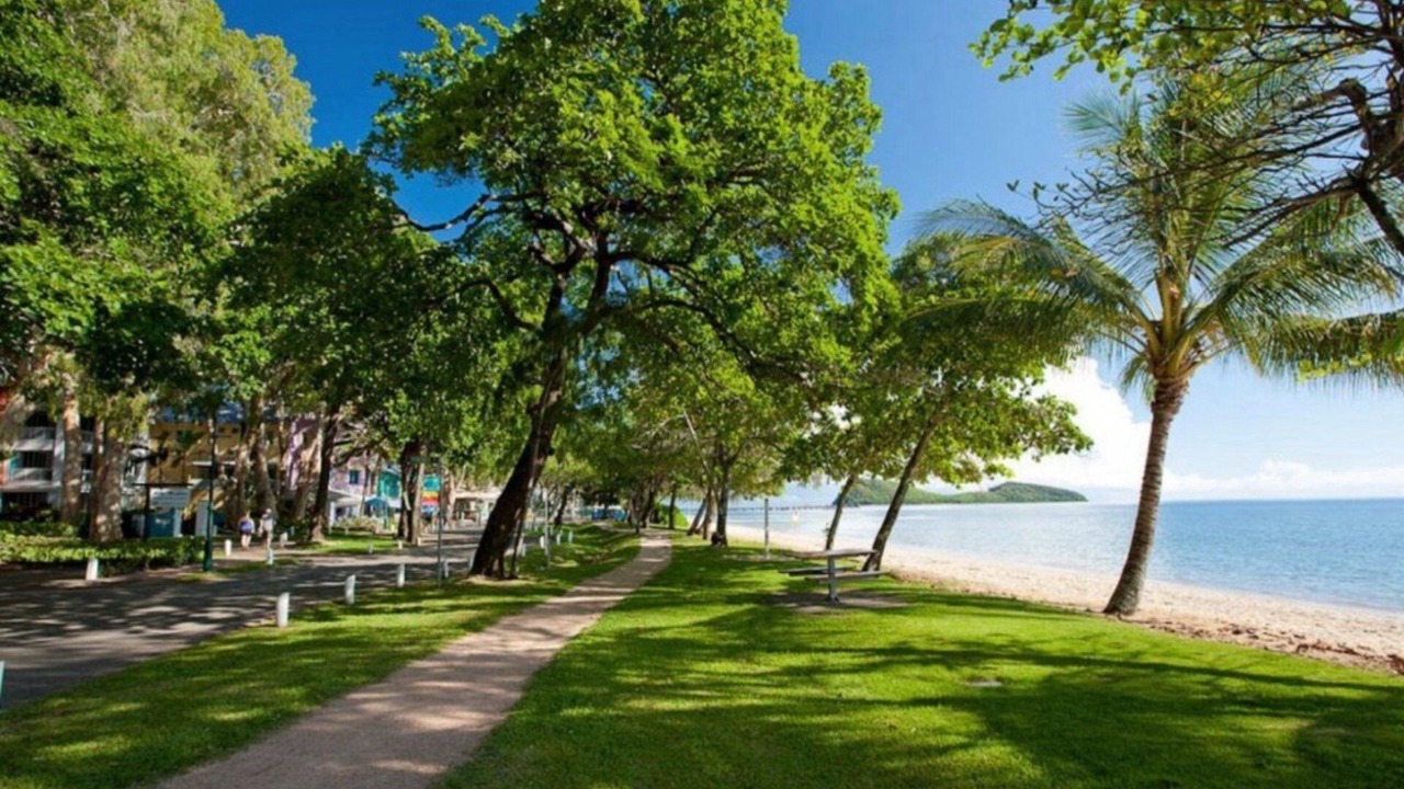 Photo of Others in Palm Cove