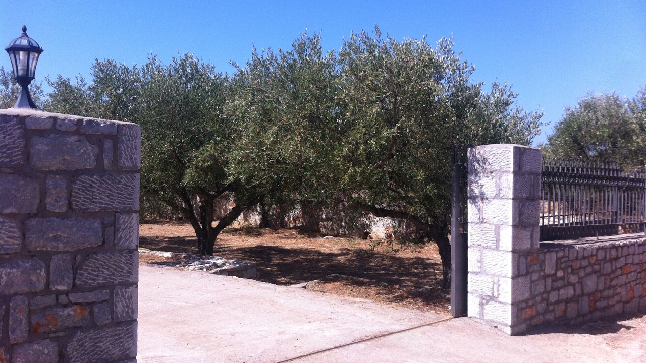 Photo of Outdoor in Omales