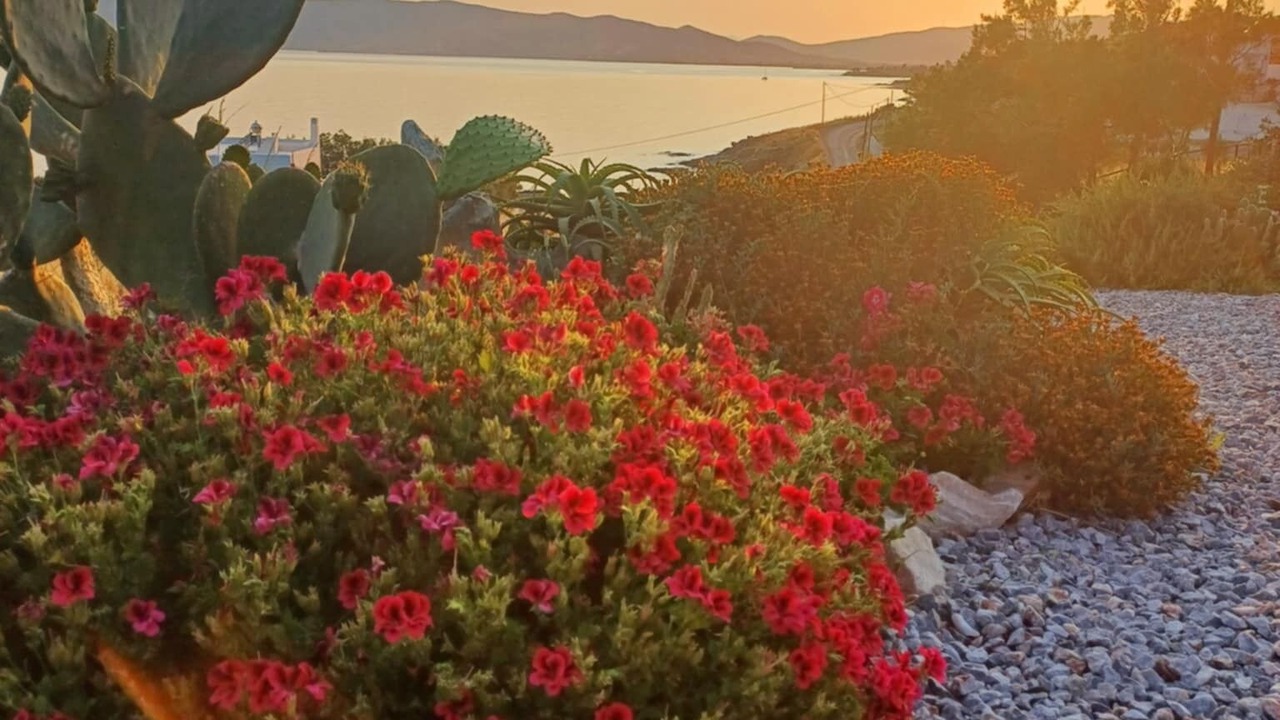 Photo of Outdoor in Karystos