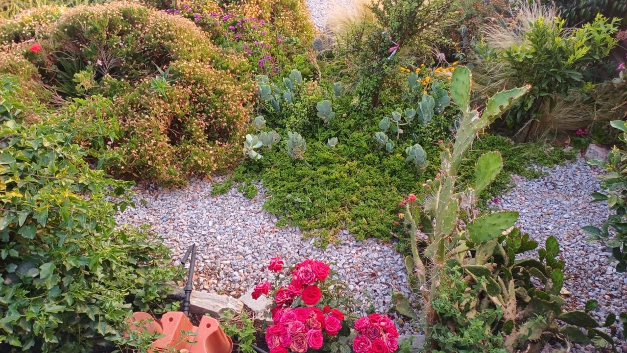 Photo of Outdoor in Karystos