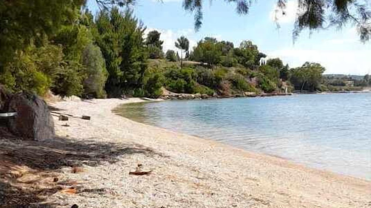 Photo of Others in Eretria